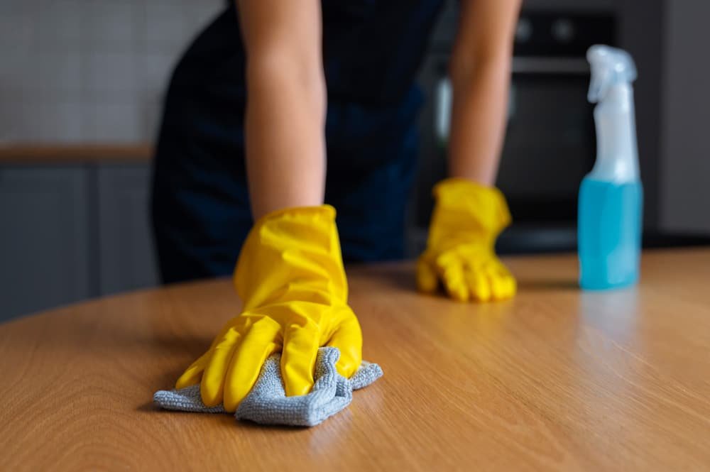 front view woman cleaning home (3) front view woman cleaning home (3)